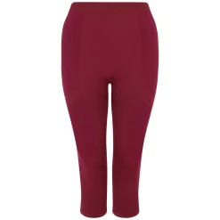 Dare 2b - Damska bielizna termoaktywna legginsy 3/4 In The Zone | Fioletowy
