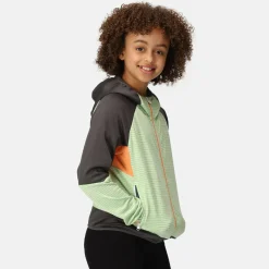 Dziecięcy softshell z kapturem Prenton II | Jasnozielono-szary