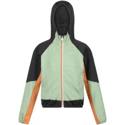 Dziecięcy softshell z kapturem Prenton II | Jasnozielono-szary