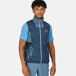 Męska kamizelka softshell Lankin V | Niebieski