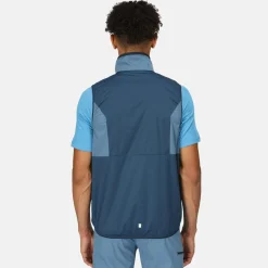 Męska kamizelka softshell Lankin V | Niebieski