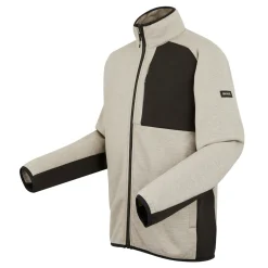 Męski polar Shorston | Szary