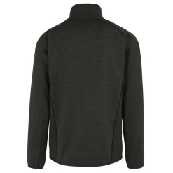 Męski polar Shorston | Szary