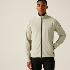 Męski softshell Dendrick | Szary