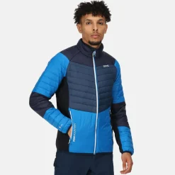 Męski softshell Halton VI | Niebieski