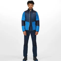 Męski softshell Halton VI | Niebieski
