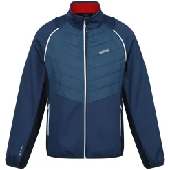 Męski softshell Steren Hybrid II | Niebieski