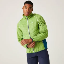 Męski softshell Steren Hybrid II | Zielony
