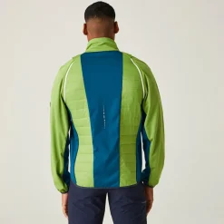 Męski softshell Steren Hybrid II | Zielony