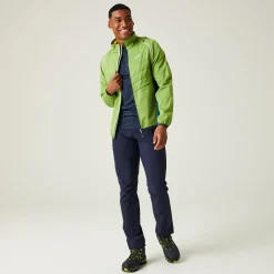Męski softshell Steren Hybrid II | Zielony