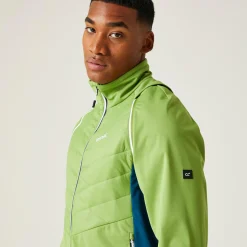 Męski softshell Steren Hybrid II | Zielony