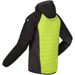 Męski softshell z kapturem Trutton | Jaskrawozielono-szary