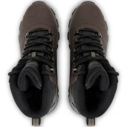 Męskie buty trekkingowe Holcombe Classic | Brązowy