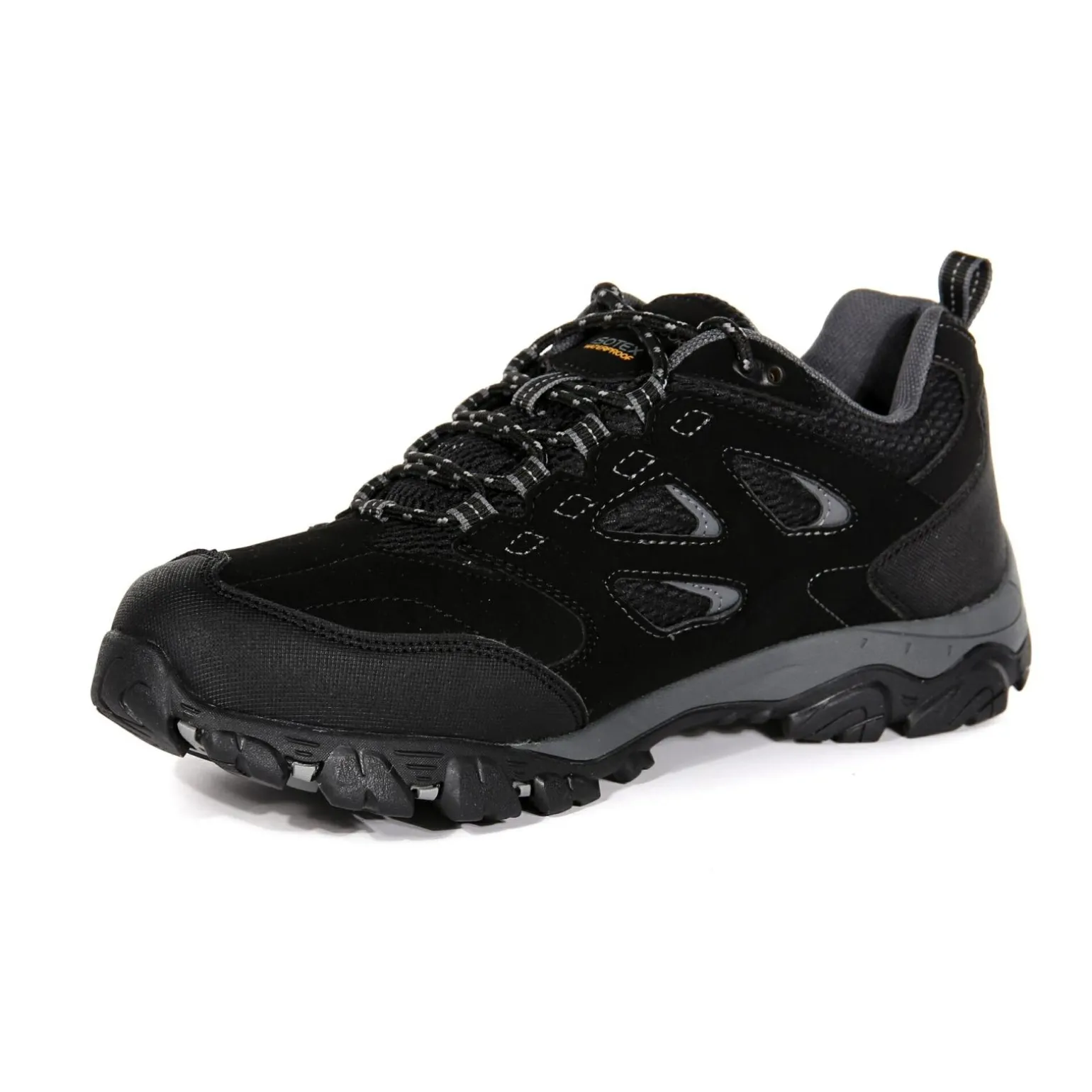 Męskie buty trekkingowe HolcombeIEP Low | Czarny