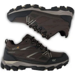 Męskie buty trekkingowe niskie Holcombe Low III | Multikolor