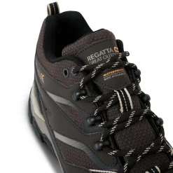 Męskie buty trekkingowe niskie Holcombe Low III | Multikolor