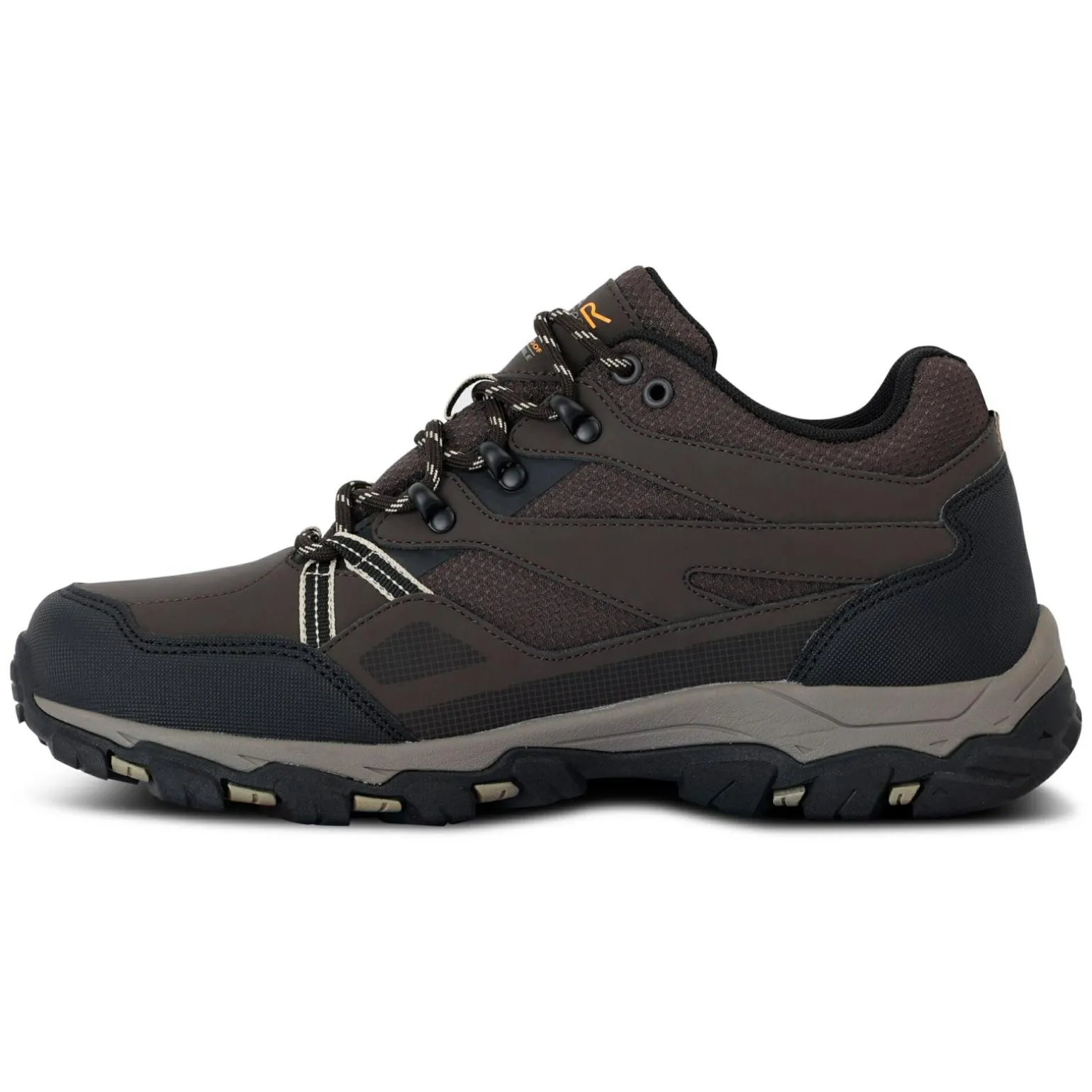 Męskie buty trekkingowe niskie Holcombe Low III | Multikolor