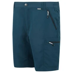 Męskie spodenki trekkingowe Leesville III | Multikolor