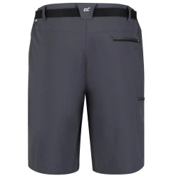 Męskie spodenki trekkingowe Xert Stretch III | Szary