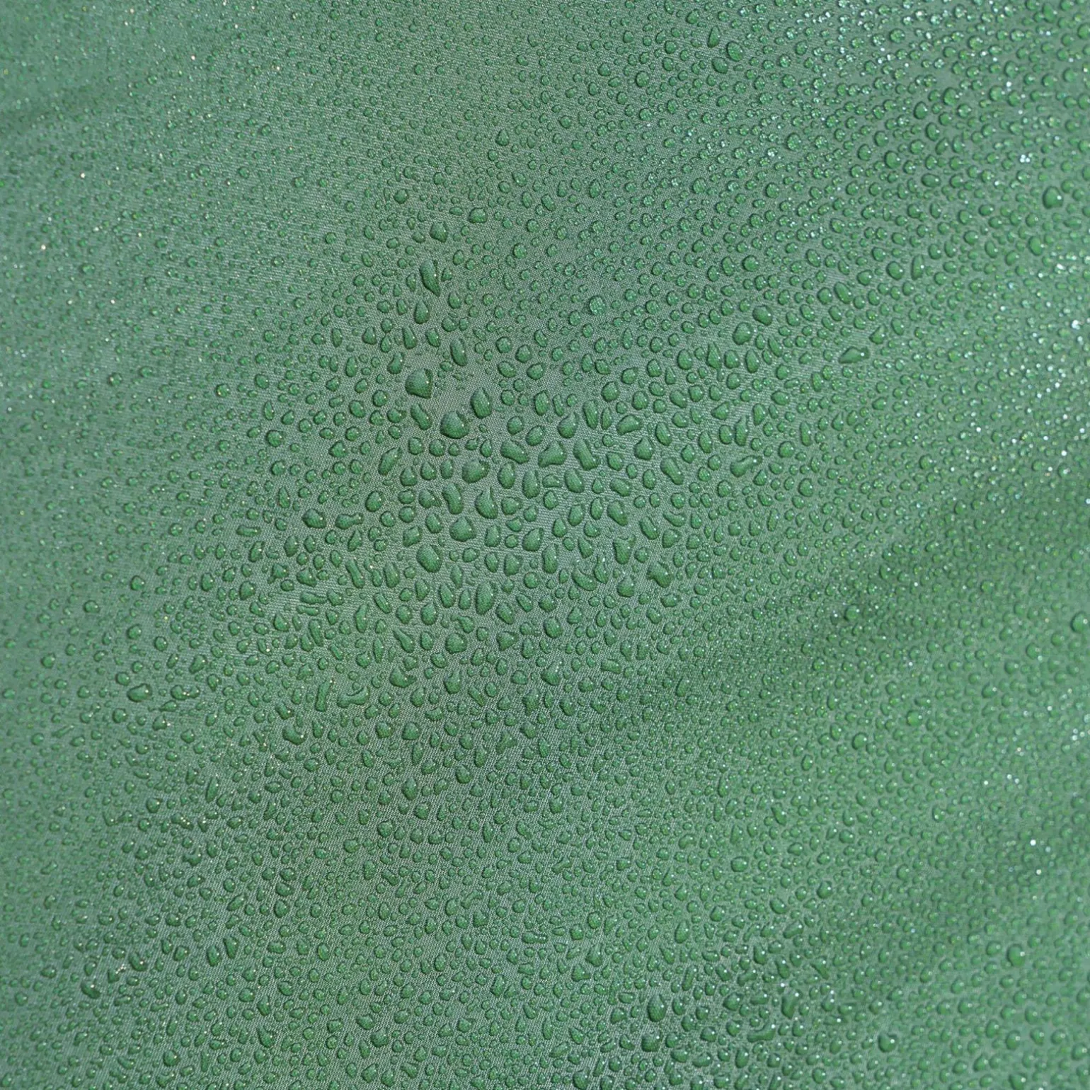 Namiot 2-osobowy Kivu 2 v3 300x160cm | Zielony