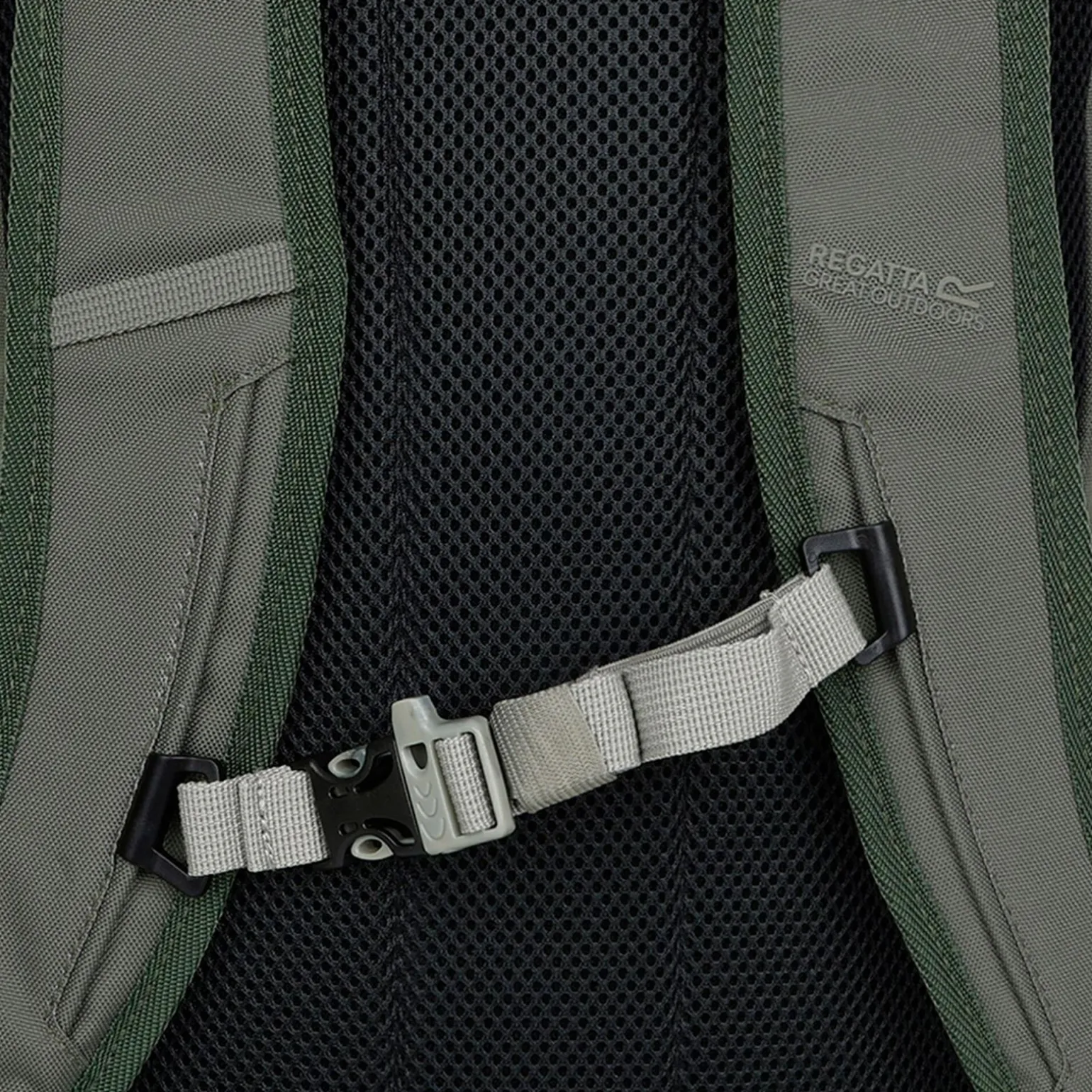 Plecak trekkingowy Survivor V 25L | Zielony